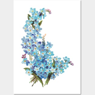 Forget-me-nots Posters and Art